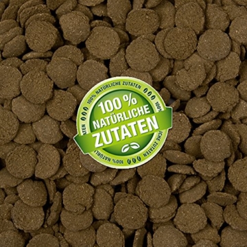 Algen-Wafers Wels-Chips (Hauptfutter für alle pflanzenfressenden Bodenfische und scheuen Zierfische in Waferform) - Welsfutter im 1 Liter Beutel - 3