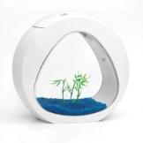 allpondsolutions Nano Curve Aquarium, Kaltwasser, tropisch, LED-Beleuchtung, 6 Liter, weiß - 1