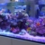 Aquarien Eco Tageslichtsimulation Aquarium LED Beleuchtung Lampe Süß/Meerwasser voll Spectrum Reef Coral Fish Wasserpflanzen Aquariumleuchte Aufsetzleuchte 90CM A149 - 7