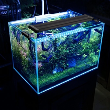 Aquarium LED Beleuchtung, Aquariumbeleuchtung Lampe Weiß Blau Licht 11W mit Verstellbarer Halterung für 50cm-70cm Aquarium - 5