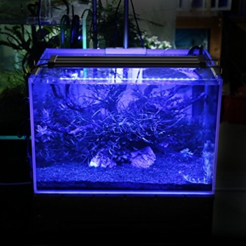 Aquarium LED Beleuchtung, Aquariumbeleuchtung Lampe Weiß Blau Licht 11W mit Verstellbarer Halterung für 50cm-70cm Aquarium - 6