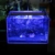 Aquarium LED Beleuchtung, Aquariumbeleuchtung Lampe Weiß Blau Licht 11W mit Verstellbarer Halterung für 50cm-70cm Aquarium - 6