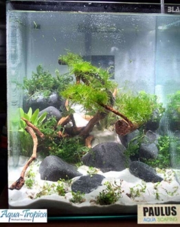 Blau Aquaristic - Nano-Aquarium Cubic 10 Liter - Basis Glas Aquarium - 1