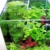 Blau Aquaristic - Nano-Aquarium Cubic 10 Liter - Basis Glas Aquarium - 2