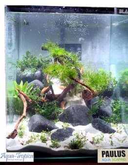 Blau Aquaristic - Nano-Aquarium Cubic 20 Liter - Basis Glas Aquarium - 1