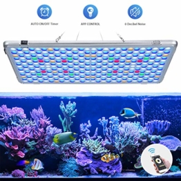 Bozily Aquarium Beleuchtung LED, Vollspektrum Korallenriff Lampe für Aquarium Tanks, APP Steuerung mit Auto EIN/Aus, Dimmbar & Timer für das Wachstum von Pflanzen im Salzwasser Süßwasser - 1