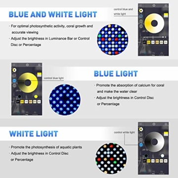 Bozily Aquarium Beleuchtung LED, Vollspektrum Korallenriff Lampe für Aquarium Tanks, APP Steuerung mit Auto EIN/Aus, Dimmbar & Timer für das Wachstum von Pflanzen im Salzwasser Süßwasser - 5