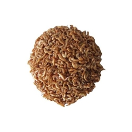Gammarus Bachflohkrebse 5000ml - 1