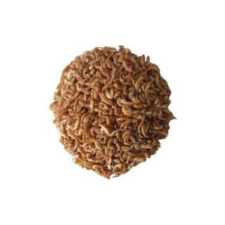 Gammarus Bachflohkrebse 5000ml - 3