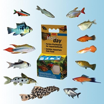 JBL Holiday 40310 Ferien-Alleinfutter für alle Aquarienfische, Futterblock - 5