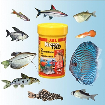 JBL NovoTab 30240 Alleinfutter für fleischfressende Aquarienfische, Tabletten 250 ml - 5