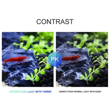 LEDGLE 10W Ultradünnes LED Aquarium Beleuchtung Kompakte Aquarienleuchte Wasserpflanzenbeleuchtung mit leistungsstarkem Clip, IPX7 Wasserdicht, Weiß und Blaulicht (Schwarz) - 4