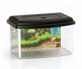 Nano Aquarium Acryl Terrarium Kunststoff Plastik Garnelen Aufzucht Becken Mini - 1