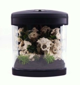 Nano Aquarium Xcube in schwarz Komplettaquarium Led Beleuchtung Mondlicht Filter Komplett Becken Amtra Tank Tag Nacht - 1