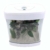 Nano Aquarium Xcube in weiß Komplettaquarium Led Beleuchtung Mondlicht Filter Komplett Becken Amtra Tank Tag Nacht - 2