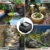 OMORC Aquariumpumpe, Teichpumpe Mini Wasserpumpe widersteht trockenes Brennen(48Std), kleine Tauchpumpe für Aquarium, Teich, Brunnen, Garten Keine Geräusch, Kabel 1,4m + 2 Düsen 300L/H - 7