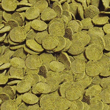 sera 00511 Wels-Chips 250 ml - Die Chips für raspelnde Welse (z.B. Ancistrus und L-Welse) - 5