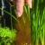 sera 08565 Bodengrundreiniger (dreieckig) - Mit dem sera Bodengrundreiniger entfernen Sie einfach Mulm aus dem Aquarienkies - 6