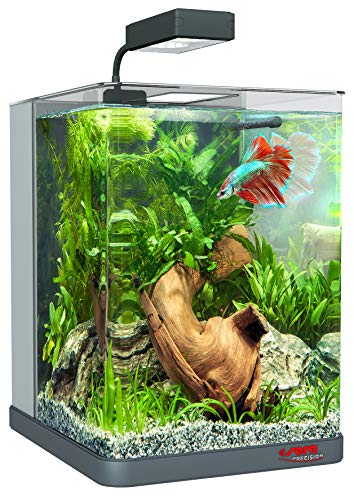 sera Biotop Nano LED Cube 16l ein Aquarium Komplettset - Plug & Play - aus gebogenem Glas mit LED Beleuchtung & großem 3-Kammer Innenfilter für Garnelen, Krebse und Kampffisch Maße (BxHxT) 22x30x25cm - 2