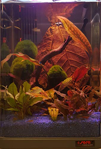 sera Biotop Nano LED Cube 16l ein Aquarium Komplettset - Plug & Play - aus gebogenem Glas mit LED Beleuchtung & großem 3-Kammer Innenfilter für Garnelen, Krebse und Kampffisch Maße (BxHxT) 22x30x25cm - 3