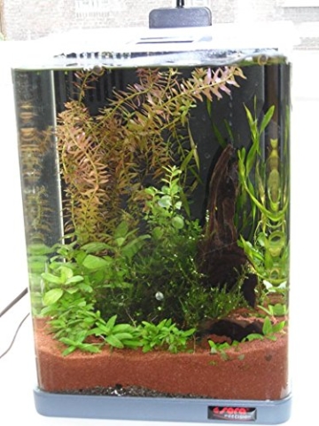 sera Biotop Nano LED Cube 16l ein Aquarium Komplettset - Plug & Play - aus gebogenem Glas mit LED Beleuchtung & großem 3-Kammer Innenfilter für Garnelen, Krebse und Kampffisch Maße (BxHxT) 22x30x25cm - 4