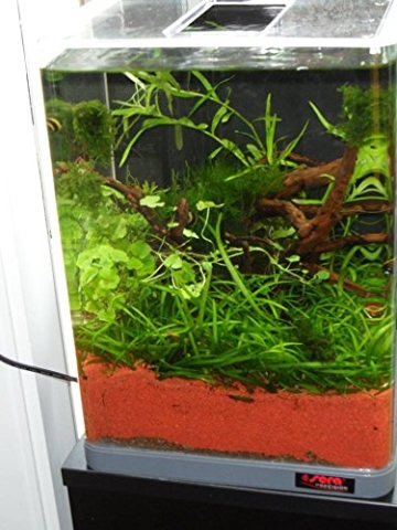 sera Biotop Nano LED Cube 16l ein Aquarium Komplettset - Plug & Play - aus gebogenem Glas mit LED Beleuchtung & großem 3-Kammer Innenfilter für Garnelen, Krebse und Kampffisch Maße (BxHxT) 22x30x25cm - 5