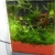 sera Biotop Nano LED Cube 16l ein Aquarium Komplettset - Plug & Play - aus gebogenem Glas mit LED Beleuchtung & großem 3-Kammer Innenfilter für Garnelen, Krebse und Kampffisch Maße (BxHxT) 22x30x25cm - 5