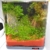 sera Biotop Nano LED Cube 16l ein Aquarium Komplettset - Plug & Play - aus gebogenem Glas mit LED Beleuchtung & großem 3-Kammer Innenfilter für Garnelen, Krebse und Kampffisch Maße (BxHxT) 22x30x25cm - 6