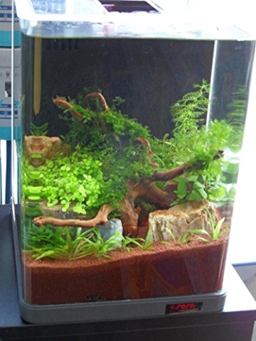 sera Biotop Nano LED Cube 16l ein Aquarium Komplettset - Plug & Play - aus gebogenem Glas mit LED Beleuchtung & großem 3-Kammer Innenfilter für Garnelen, Krebse und Kampffisch Maße (BxHxT) 22x30x25cm - 7