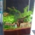 sera Biotop Nano LED Cube 16l ein Aquarium Komplettset - Plug & Play - aus gebogenem Glas mit LED Beleuchtung & großem 3-Kammer Innenfilter für Garnelen, Krebse und Kampffisch Maße (BxHxT) 22x30x25cm - 7