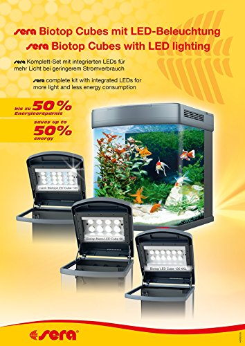 sera Biotop Nano LED Cube 60 ein 60l Süßwasser Aquarium Komplettset - Plug & Play - mit LED Beleuchtung, Regelheizer und großem 4-Kammer Innenfilter, gebogenes Glas, Maße (BxHxT) 40 x 47 x 46 cm - 2
