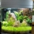 sera Biotop Nano LED Cube 60 ein 60l Süßwasser Aquarium Komplettset - Plug & Play - mit LED Beleuchtung, Regelheizer und großem 4-Kammer Innenfilter, gebogenes Glas, Maße (BxHxT) 40 x 47 x 46 cm - 3