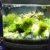 sera Biotop Nano LED Cube 60 ein 60l Süßwasser Aquarium Komplettset - Plug & Play - mit LED Beleuchtung, Regelheizer und großem 4-Kammer Innenfilter, gebogenes Glas, Maße (BxHxT) 40 x 47 x 46 cm - 4