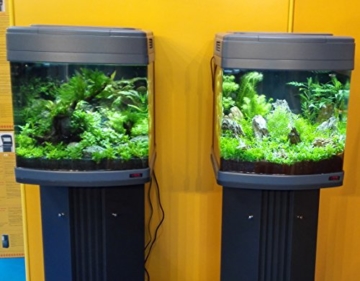 sera Biotop Nano LED Cube 60 ein 60l Süßwasser Aquarium Komplettset - Plug & Play - mit LED Beleuchtung, Regelheizer und großem 4-Kammer Innenfilter, gebogenes Glas, Maße (BxHxT) 40 x 47 x 46 cm - 5