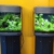 sera Biotop Nano LED Cube 60 ein 60l Süßwasser Aquarium Komplettset - Plug & Play - mit LED Beleuchtung, Regelheizer und großem 4-Kammer Innenfilter, gebogenes Glas, Maße (BxHxT) 40 x 47 x 46 cm - 5