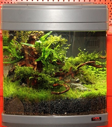 sera Biotop Nano LED Cube 60 ein 60l Süßwasser Aquarium Komplettset - Plug & Play - mit LED Beleuchtung, Regelheizer und großem 4-Kammer Innenfilter, gebogenes Glas, Maße (BxHxT) 40 x 47 x 46 cm - 6