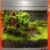 sera Biotop Nano LED Cube 60 ein 60l Süßwasser Aquarium Komplettset - Plug & Play - mit LED Beleuchtung, Regelheizer und großem 4-Kammer Innenfilter, gebogenes Glas, Maße (BxHxT) 40 x 47 x 46 cm - 6