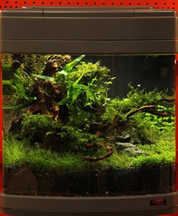 sera Biotop Nano LED Cube 60 ein 60l Süßwasser Aquarium Komplettset - Plug & Play - mit LED Beleuchtung, Regelheizer und großem 4-Kammer Innenfilter, gebogenes Glas, Maße (BxHxT) 40 x 47 x 46 cm - 7