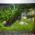 sera Biotop Nano LED Cube 60 ein 60l Süßwasser Aquarium Komplettset - Plug & Play - mit LED Beleuchtung, Regelheizer und großem 4-Kammer Innenfilter, gebogenes Glas, Maße (BxHxT) 40 x 47 x 46 cm - 8