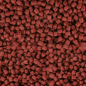 sera KOI Professional Winterfutter 500 g unter 12 °C Spezial Futter für Koi & andere wertvolle Teichfische mit Präbiotika für verbesserte Futterverwertung, geringere Wasserbelastung & weniger Algen - 4