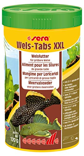 sera Wels-Tabs XXL 250 ml das Futter für größere Welse: Als Boden- oder Hafttablette nutzbar - 1
