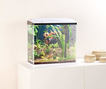 Sweetypet Aquarien Komplettsets: Nano-Aquarium-Komplett-Set mit LED-Beleuchtung, Pumpe & Filter, 40 l (Aquarium-Becken) - 4