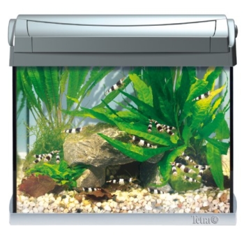 Tetra 171855 AquaArt Shrimps Aquarium-Komplett-Set 20 L, ideal für die Haltung und Zucht von Garnelen, anthrazit - 5