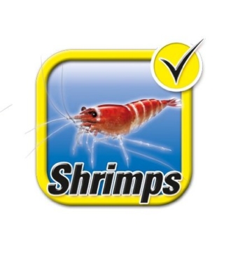 Tetra 171855 AquaArt Shrimps Aquarium-Komplett-Set 20 L, ideal für die Haltung und Zucht von Garnelen, anthrazit - 6