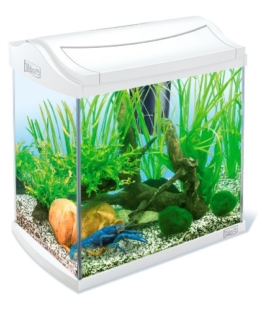 Tetra 211933 AquaArt Crayfish Aquarium-Komplett-Set 30 L, für Krebse und Garnelen mit innovativer Technik und einfacher Pflege, White Edition - 1