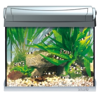 Tetra AquaArt Discovery Line LED Aquarium-Komplett-Set (inklusive LED-Beleuchtung, Tag- und Nachtlichtschaltung, Innenfilter und Aquarienpumpe, ideal für Garnelen) 20 Liter anthrazit - 11