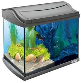 Tetra AquaArt Discovery Line LED Aquarium-Komplett-Set (inklusive LED-Beleuchtung, Tag- und Nachtlichtschaltung, Innenfilter und Aquarienpumpe, ideal für Garnelen) 20 Liter anthrazit - 1