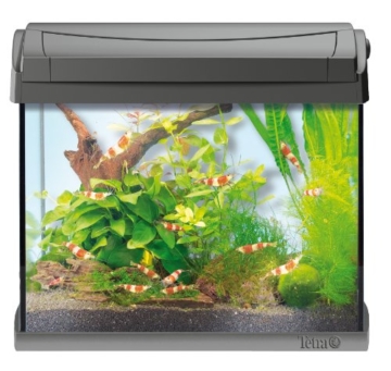 Tetra AquaArt Discovery Line LED Aquarium-Komplett-Set (inklusive LED-Beleuchtung, Tag- und Nachtlichtschaltung, Innenfilter und Aquarienpumpe, ideal für Garnelen) 20 Liter anthrazit - 4