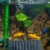 Tetra Brillant Filter, luftbetriebener Innenfilter für Aquarien mit Schaumstoffpatrone, für Aquarien von 15 bis 100 Liter, geeignet für Garnelen und Krebse - 3
