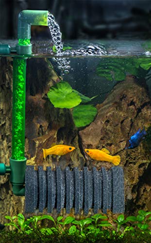 Tetra Brillant Filter, luftbetriebener Innenfilter für Aquarien mit Schaumstoffpatrone, für Aquarien von 15 bis 100 Liter, geeignet für Garnelen und Krebse - 3
